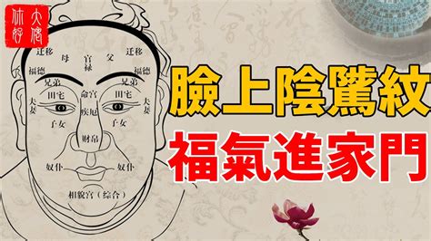 陰騭紋長什麼樣子|臉上出現哪一種紋路代表能增福延壽？(圖) 面相 